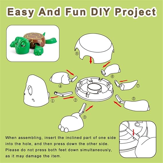 TurtleCoaster™ | The Mood-Lifting Cup Buddy