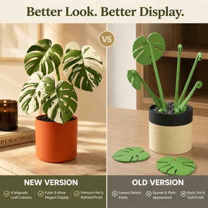 Montra™ | Magnetic Monstera Coaster Plant
