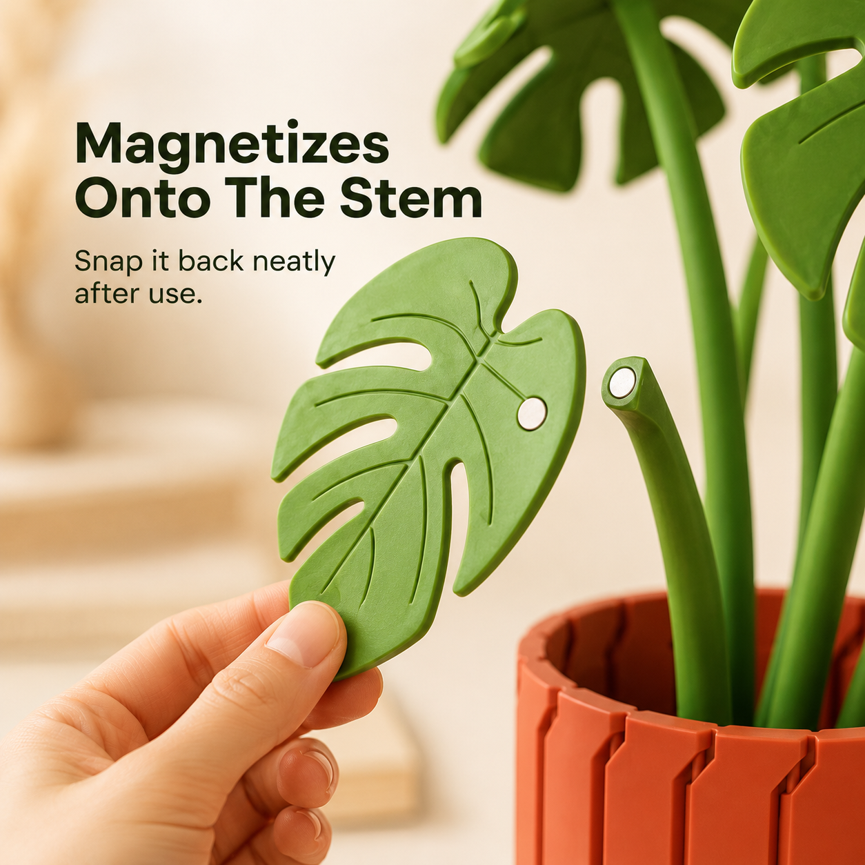 Montra™ | Magnetic Monstera Coaster Plant